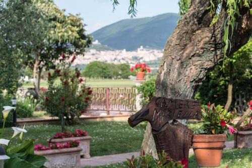 Santa Maria degli Angeli Cama Y Desayuno | Camere Mariella