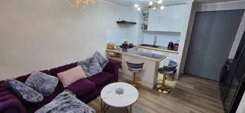 Valdivia Apartamento | Camidepartamento