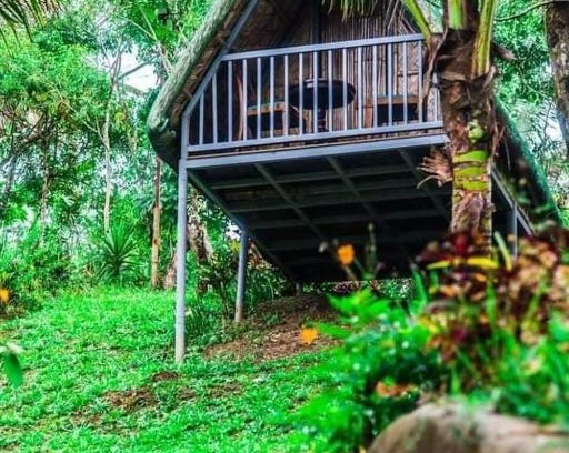 Tanay Otro | Camp Mayagay Tanay Rizal