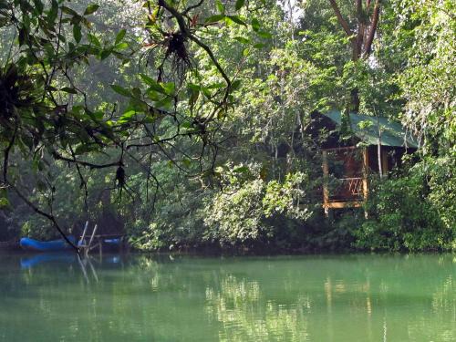 Lacanjá Hotel | Campamento Rio Lacanja