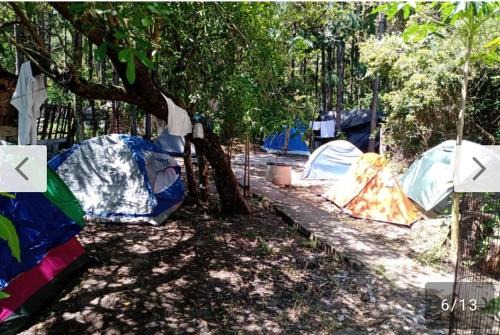 Muquem Otro | Campin novas palmeiras 953