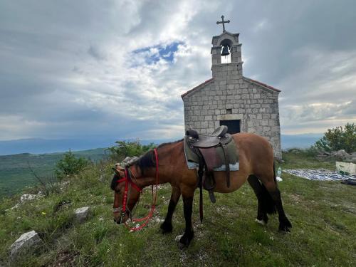 Karuc Otro | camping and horseback riding Parci