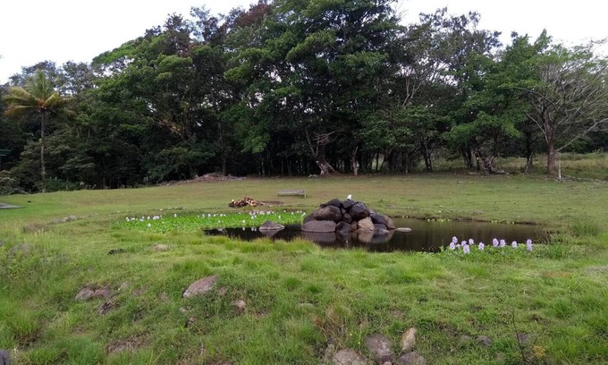 Piedras Alquiler De RV | Camping y área para estacionar tu casa Rodante 7