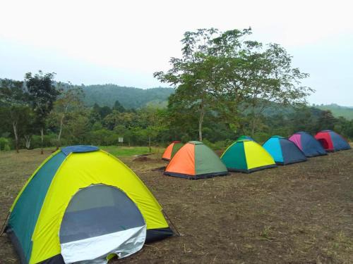 Manglaralto Otro | Camping El Cedro
