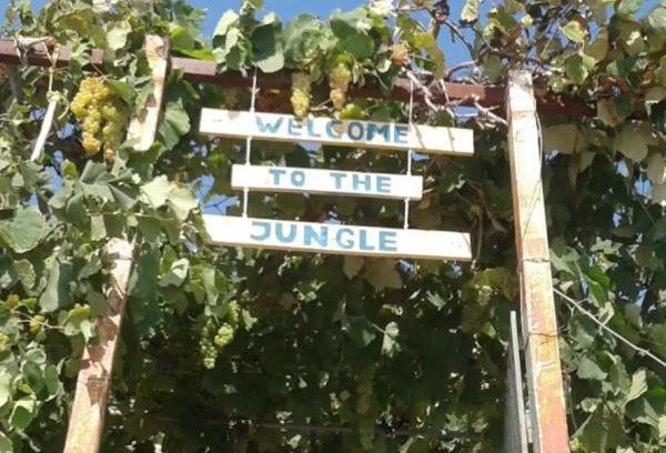 Borsh Otro | Camping Jungle in Borsh