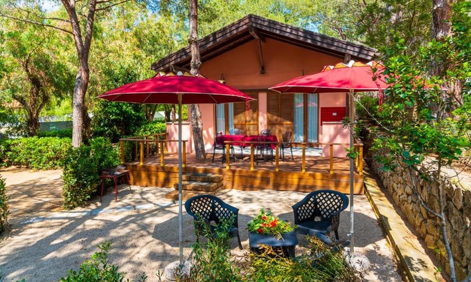 Lacona Complejo | Camping Lacona Pineta