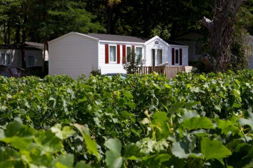 Petit-Palais-et-Cornemps Otro | Camping Le Pressoir