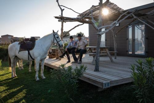 Arles Cabina | Camping Les Bois Flottés