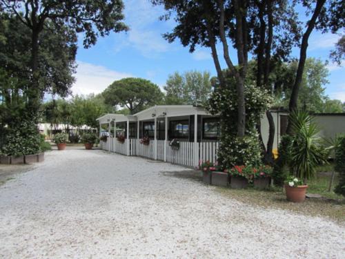 Calambrone Otro | Camping Pineta