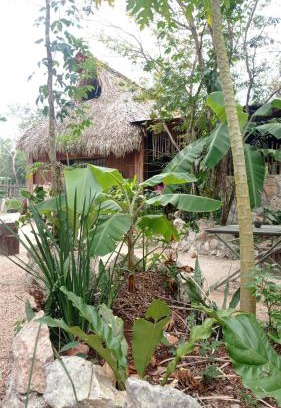 Tulum Otro | Camping Rancho El Tauro