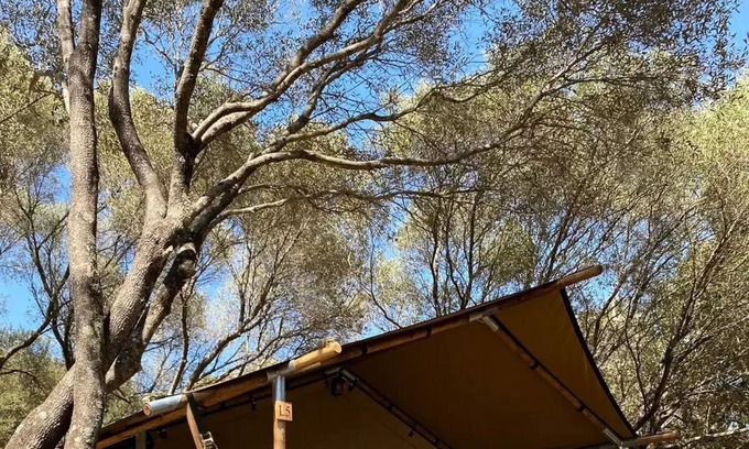 Vetricella Casa | Camping Vigna Maggiore * - LODGE TENT without bathroom! 5 people