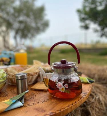 Grile Otro | Camping villa lake shkodra