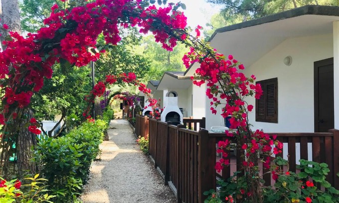 Vico del Gargano Otro | Camping Villaggio Internazionale