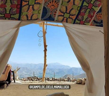 Vicuna Otro | Campo de Cielo Mamalluca Valle de Elqui