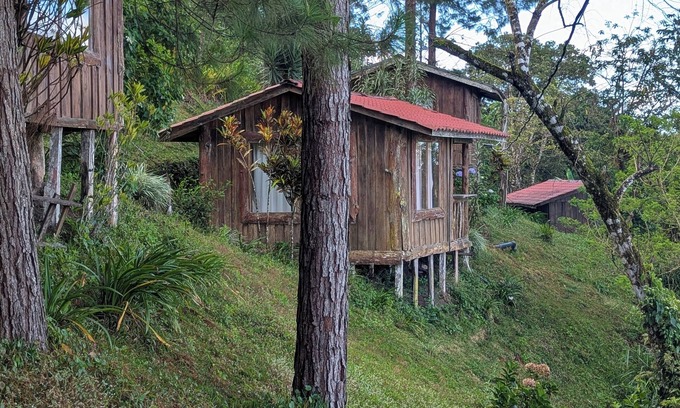 Sierra Cabina | Monteverde Birding Paradise: Green Jewel in the mountains!