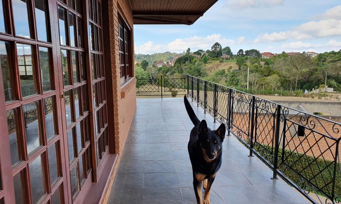 Recanto Araucaria Casa | Campos do Jordão 2019 - Disfrute el invierno con el encanto europeo de la Suiza brasileña