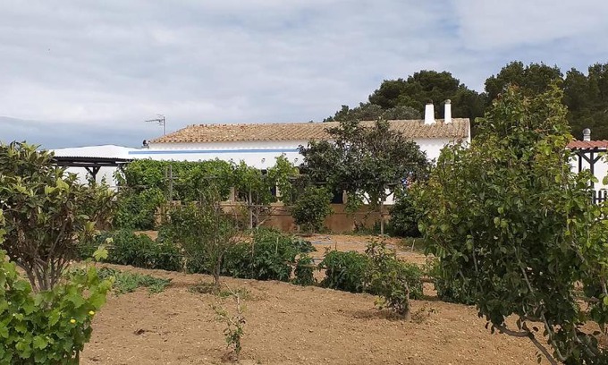 Pilar de la Mola Casa | Can Joan Barber, 1