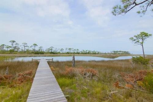 Plantation Casa | Canal- Bay Front family home 5-bedroom Sleeps 18 POOL coming soon Boat Dock