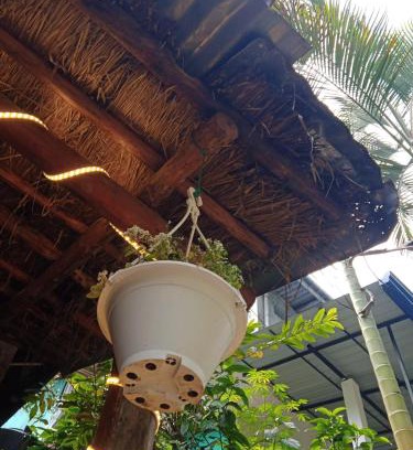 Ambagollapathana Casa | Cane Homestay