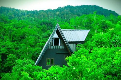 Kotapola Cabina | Cannelle Hill Cabanas