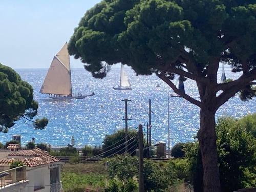 Cannes La Bocca Casa | Cannes Sea View, by Beach, Private Room in Shared 3-Bedroom Apartment, Private Bathroom & Balcony, Chambre avec salle de bain privative & balcon, chez l'habitant