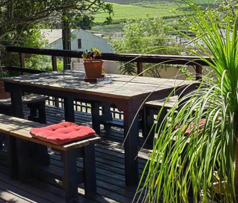 Bot River Casa | Canola Fields