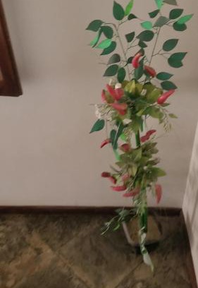 Sao Pedro da Aldeia Casa | Cantinho do Aconchego