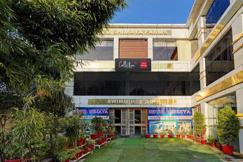 Dehradun Hotel | Capital O Shimaya