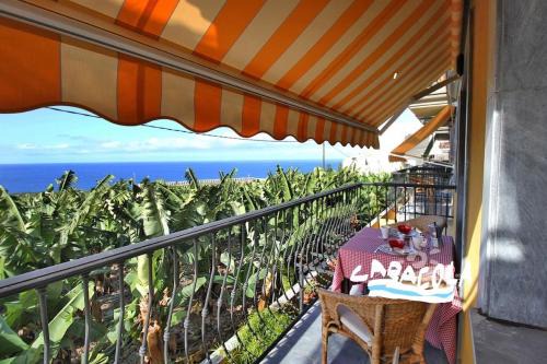 Tazacorte Apartamento | Caracol Trail Mountain La Palma - junto a Trbol