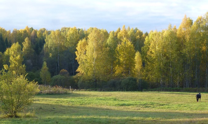 Mikeltornis Casa | Caravan and campsite in the countryside near the lake and beach