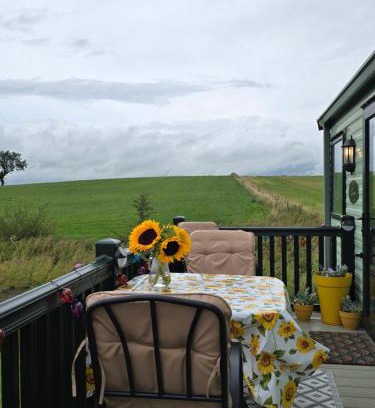 Fence Otro | Caravan E6, The Miron