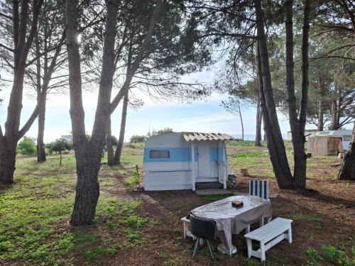 La Marana Otro | Caravane janis on the beach