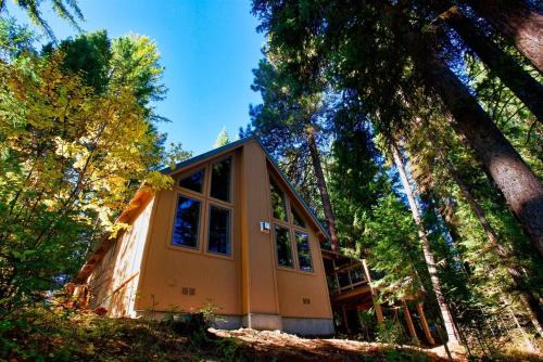 McCall Casa | Carlson Cabin by Casago McCall - Donerightmanagement