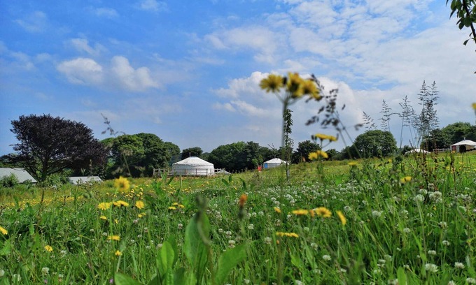 Newquay Cabina | Carved Yurt - A luxury Mongolian-inspired Yurt in stunning 62 acre eco-friendly estate