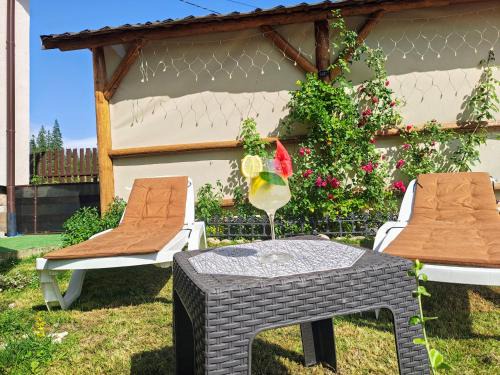 Borsec Casa | Casa 7 Izvoare