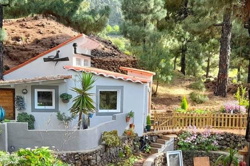 El Paso Chalet De Esquí | Casa Aguar: Acogedora casa de invitados en el bosque
