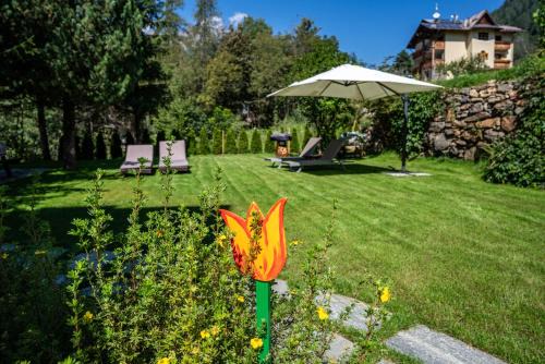 Celledizzo Apartamento | Casa Ai Laresi 2