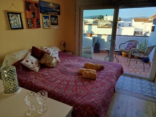 Alcala de los Gazules Cama Y Desayuno | Casa Aljibe