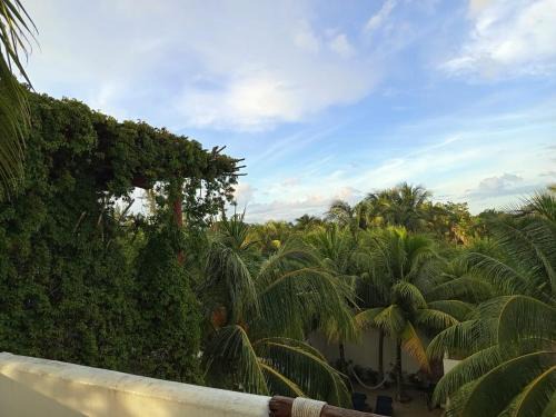 Isla Holbox Apartamento | Casa aloha-Isla Holbox