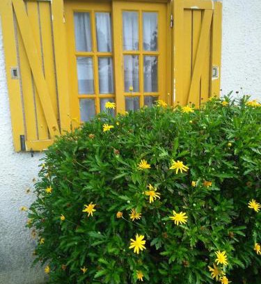 Esmoriz Casa | Casa Amarela