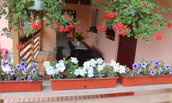 Gura Humorului Casa | Casa Andreia
