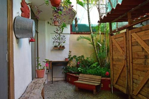 Palmar de Aramara Casa | Casa Aramara