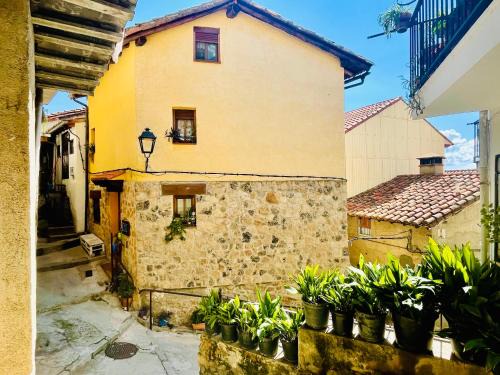 Pedro Bernardo Casa | Casa Artista