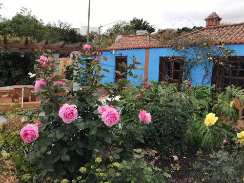 Breña Alta Casa | Casa Asuncion