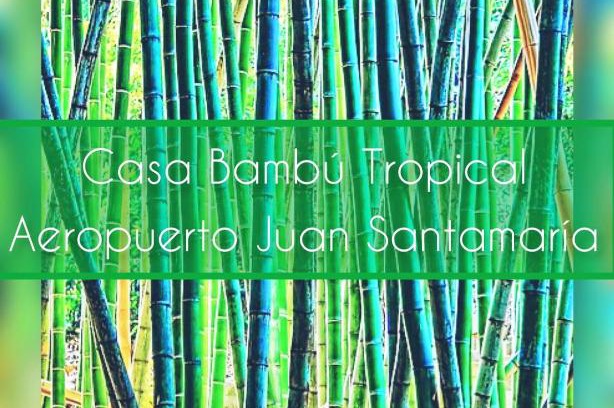 Villa Bonita Apartamento | Casa Bambú Tropical