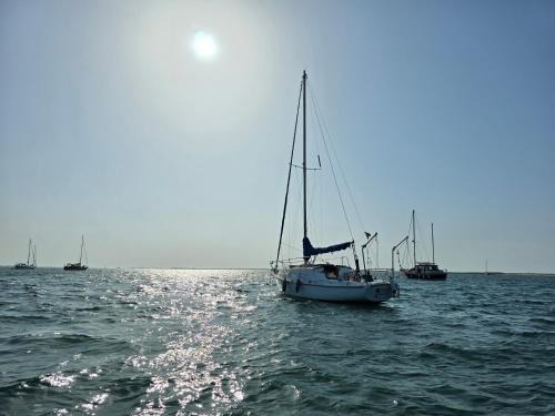Faro Alquiler De Eote | Casa barco liberdade