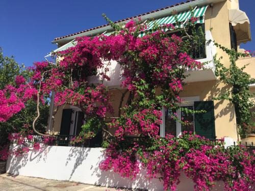 Minia Apartamento | Casa Buganvilla