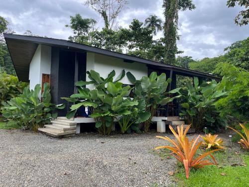 Cahuita Casa | Casa Cacao