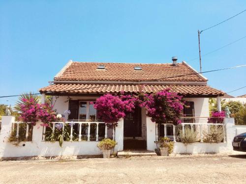 Lourinha Casa | Casa Cao Verde Charmantes Landhaus mit Garten