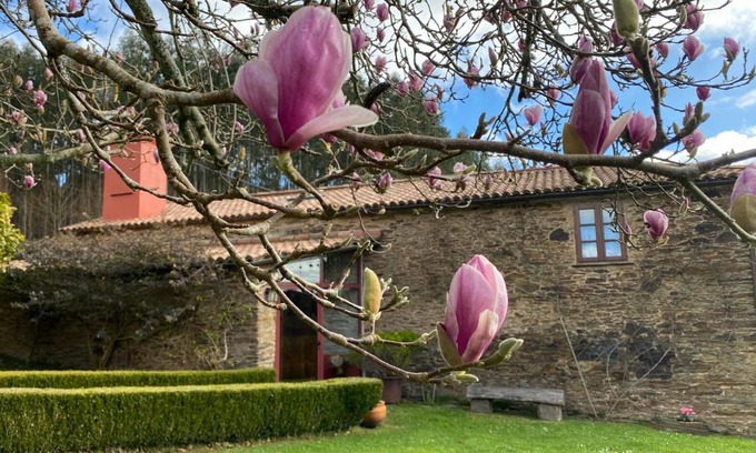 Valdovino Casa | Casa Castro de Crecente
